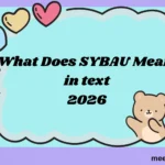 What Does SYBAU Mean in Text