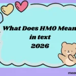 What Does HMO Mean in Text