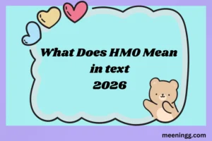 What Does HMO Mean in Text