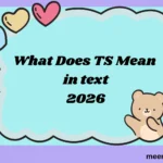What Does TS Mean in Text