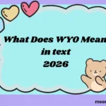 What Does “WYO” Mean in Text? (2026)