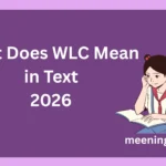 What Does WLC Mean in Text? (2026)