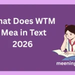 What Does WTM Mean in Text? (2026 Slang Guide with Examples & Replies)